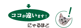 ココが違います!にゃるほど