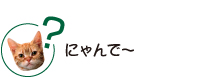 にゃんで~?