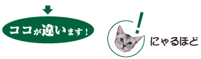 ココが違います!にゃるほど